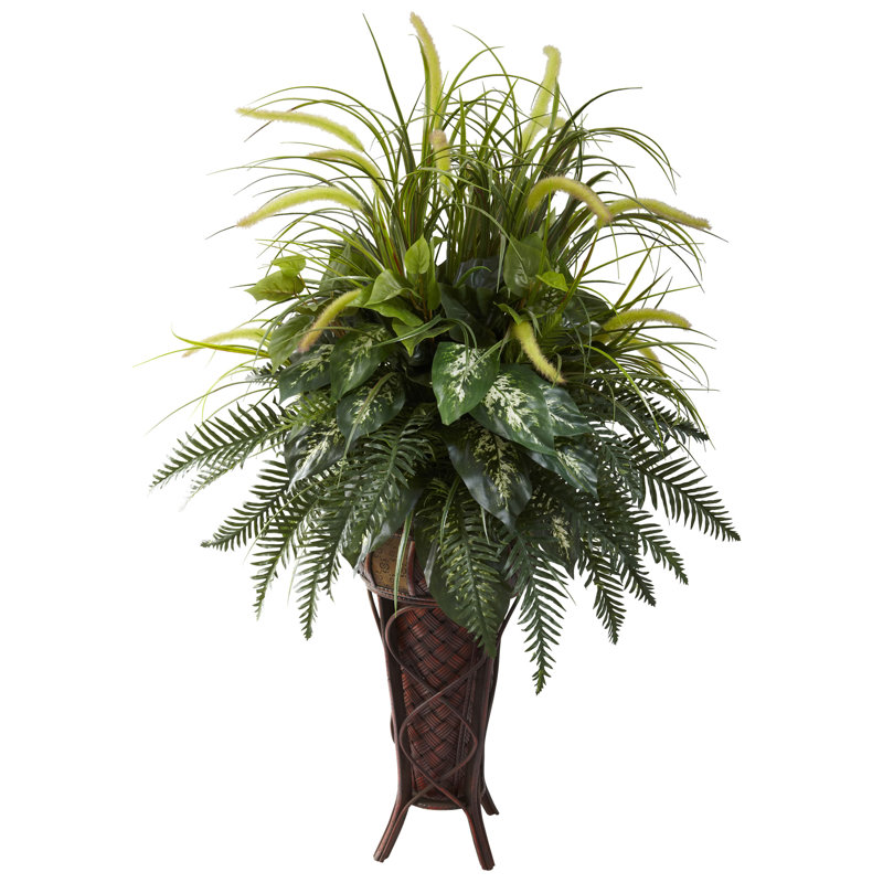 Beachcrest Home Decorative Floor Plant in Planter & Reviews Wayfair